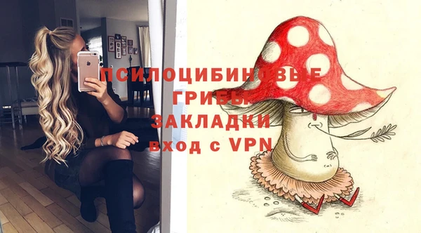 твердый Алексин