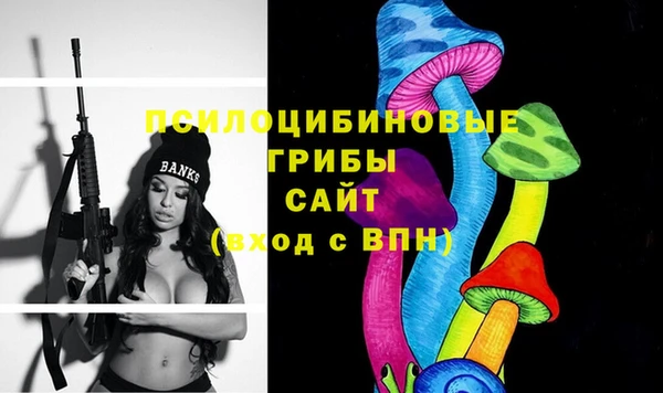 мяу мяу мука Алзамай