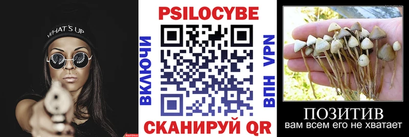 Галлюциногенные грибы GOLDEN TEACHER KRAKEN зеркало Находка где можно купить