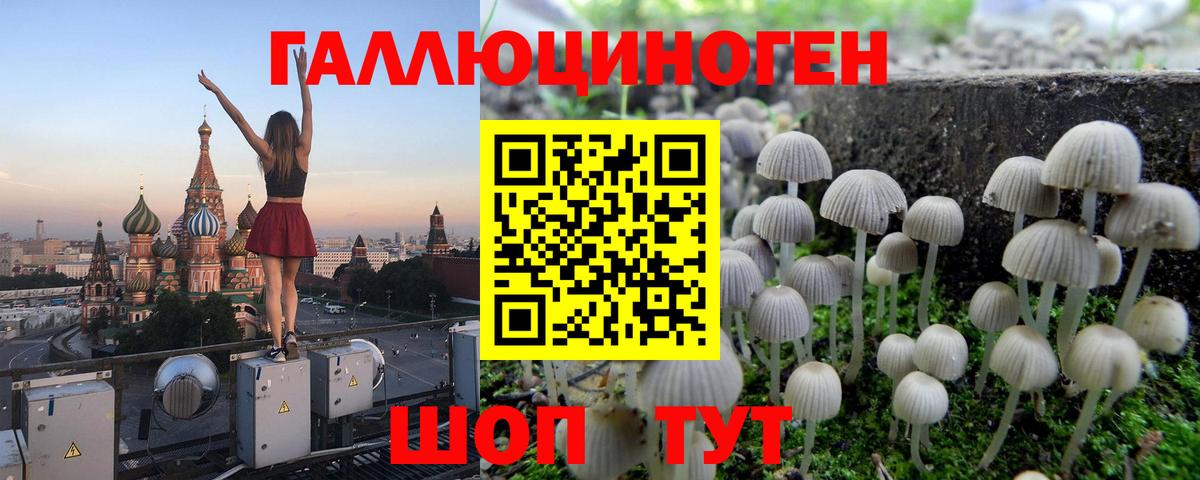 Псилоцибиновые грибы Cubensis  Вход с VPN  Находка 