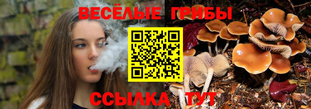 A-PVP Находка